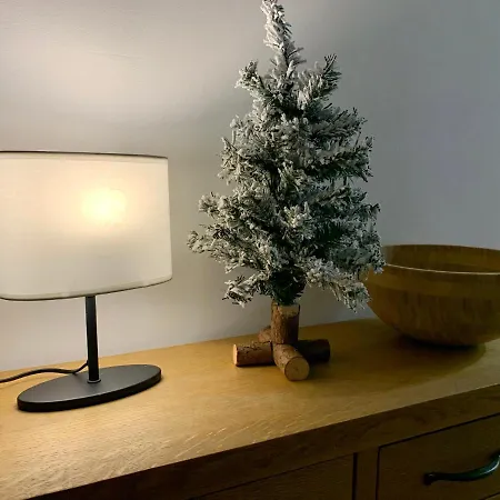Apartment за гости *